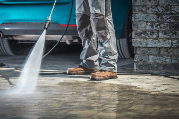 Best Spring Cleaning  in Millport, AL