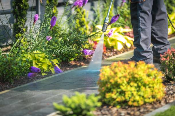 Best Driveway Pressure Washing  in Millport, AL