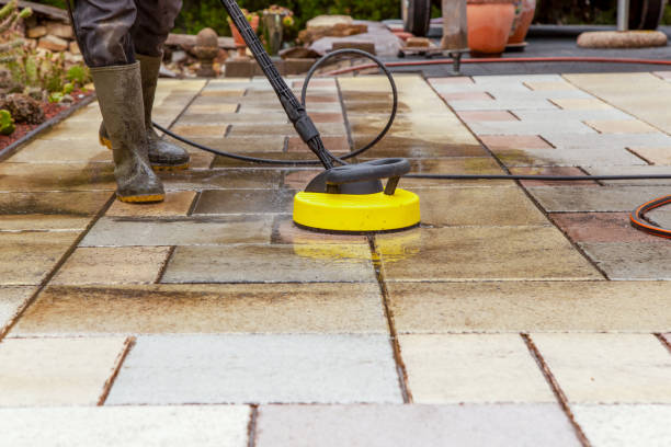 Best Gutter Cleaning  in Millport, AL