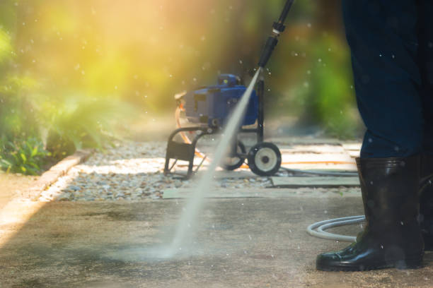 Best Solar Panel Cleaning  in Millport, AL